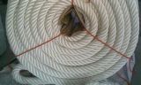 Nautical Rope/Kernmantle Rope/Dacron Rope
