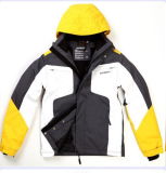 Fashion Hooded Polyfilled Ski Suit
