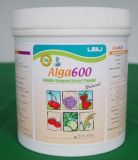 Seaweed Extract Powder (ALGA600)