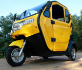 Adult 3 Wheel Electric Car/Closed Type Tricycle for Passenger