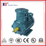 Explosion-Proof Electric AC Motor for Crusher