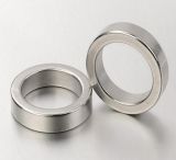 Custom Size Rare Earth Ring Shape Neo Permanent Magnet