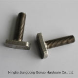 High Quality Stainless T Head Bolts