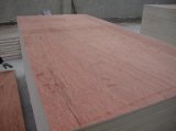 Plywood/Furniture Plywood/Bintangor Plywood