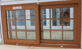 Low-E Glass European PVC Sliding Window (BHP-SW09)