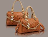 2013 New Style Lady Handbag (YLD0105-9)
