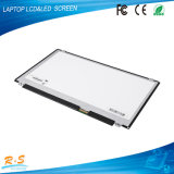 Wholesale Laptop Screens B133xtn01.2 N133bge N133I6 New Grade a Original Laptop Parts