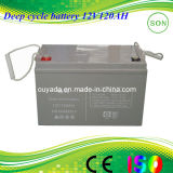 Gfm 12V 120ah Deep Cycle Battery