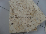 OSB for Furniture and Building Material