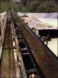 Conveyor Belt (EP125)