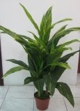 Artificial Plants and Flowers of Pearl Orchid Gu-Bj-817-29-3