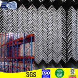 100*100*10 HDG Angle Steel for Building