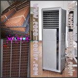 Comfortable Cooling Equipment Used in Hotel