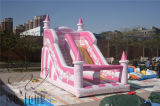Inflatable Water Slide/ Inflatable Slip and Slide for Adult