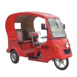 Tricycle (SL110-ZK)