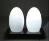 Rechargeable Egg Shape Lamp, House Lighting (RCL01)