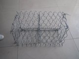 Galvanized Hexagonal Wire Netting