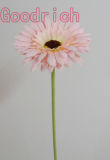 Gerbera Home Decoraton, Available in Various Designs, Colors and Materials