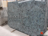 Blue Jade Natural Granite Stone Tile / Slab for Countertop