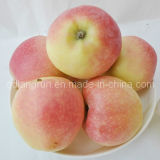 Red Delicious FUJI Apples