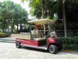 Material PP 2 Seater Electric Golf Cargo Car (LT_A2. H2)