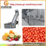 Vegetable&Fruit Washing Machine for Cherry/ Apple/Pear/ Orange