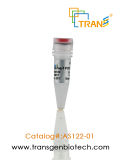 Transtaq-T PCR Supermix