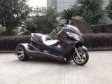 300cc EEC Tricycle Scooter (HDT300E-P)