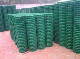 1/4''x1/4'' PVC Coated Welded Wire Mesh (XM-09)