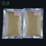 Hight Quality Choline Chloride Protein