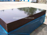 High Glossy Shuttering Film Faced Plywood