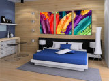 Beautiful Feathers Abstract Canvas Prints for Living Room