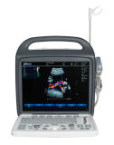 PC Based Ultrasound Scanner Bcu-30 Vet Color Doppler Veterinary Equipment
