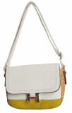 Ajustable Strap Newest Lady Bag (AV506-1)