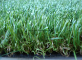 Synthetic Grass /Artificial Turf (GW353814-10)