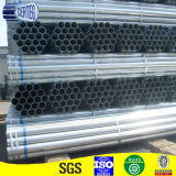 Hollow Section Round Galvanzied Pipe with Plastic Cap (SP061)
