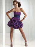 2010 Prom Gown/Dress (Flirt-39)