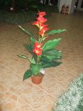 Decorative Artificial Plants of Canna Gu-211-16-10-4