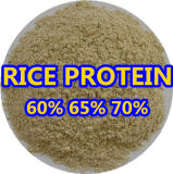 Rice Protein (protein 60min) for Animal Feed