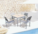 Modern Design Outdoor Leisure Patio Furniture Wooden Garden Furniture (D540; S260)