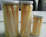 Canned Asparagus 2011