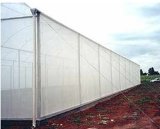 100% Virgin HDPE Anti Insect Proof Netting Agriculture