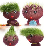 Grass Doll (HTA)