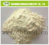 2014 New Crop Garlic Powder