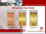 Elevator Door Panel with Mirror Surface (SN-DP-310)