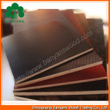 18mm Brown Film Faced Plywood for Construction Use
