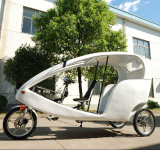Leisure Electric Rickshaw for The Japanese Market (DCQ500DQZK)
