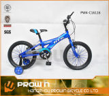 2014 16 Inches Southeast Asia Steel Frame Kids Bike (PW4-C16116)