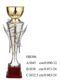 2013 New Design Metaldecoration Trophy Hb306