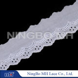 Cotton Lace (HB10087)